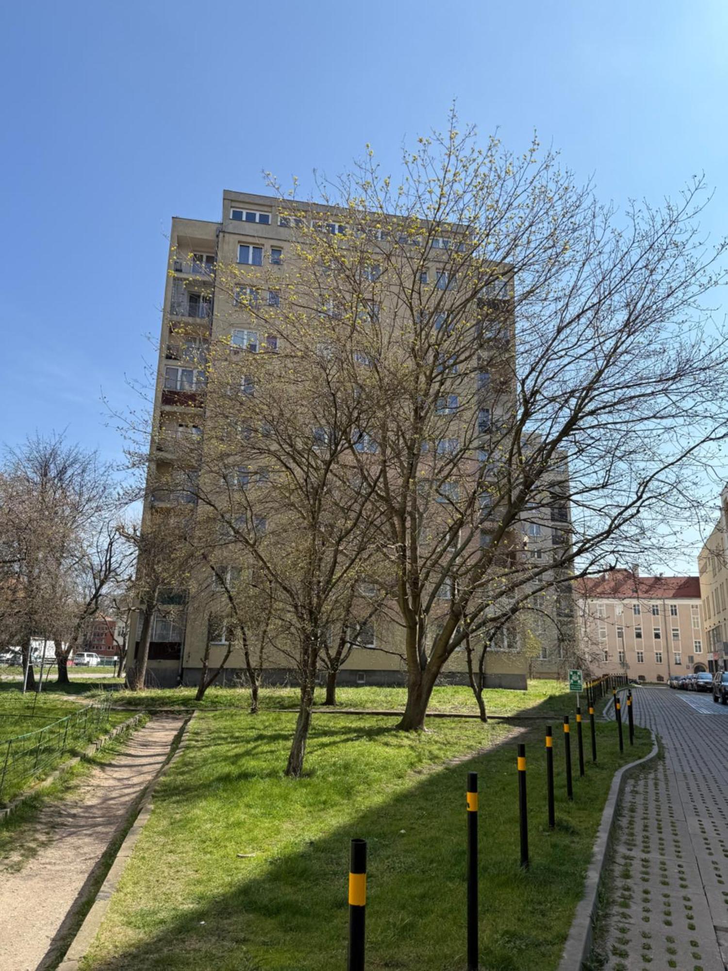 Mieszkanie Gdansk Srodmiescie Екстериор снимка